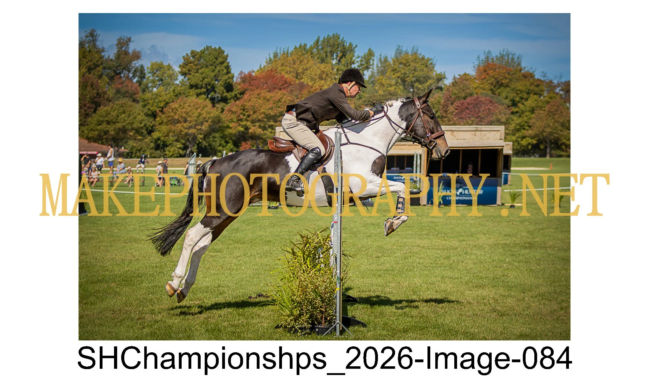 showhunter 2026-084.jpg