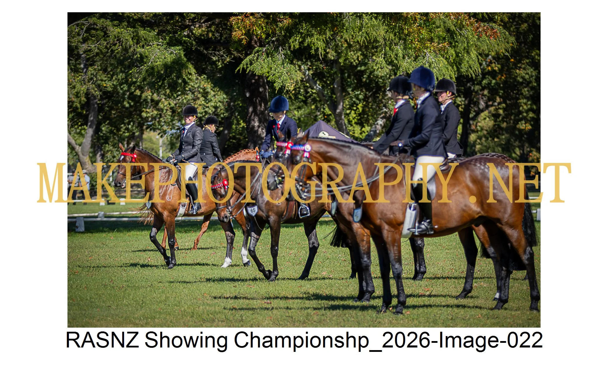 RASNZ Showing Championship 2026-22.jpg
