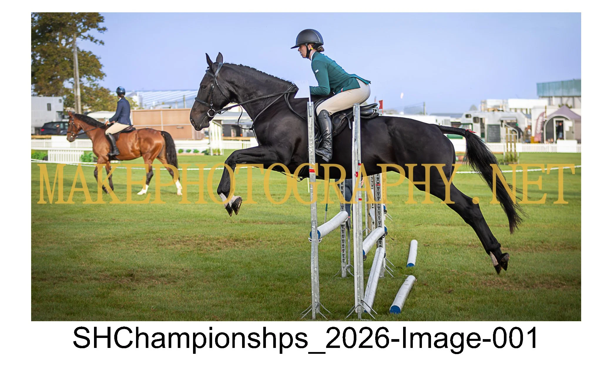 showhunter 2026-001.jpg