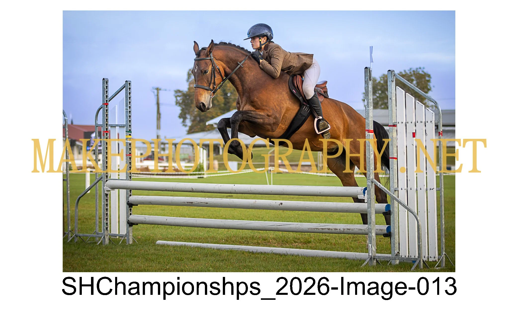 showhunter 2026-013.jpg