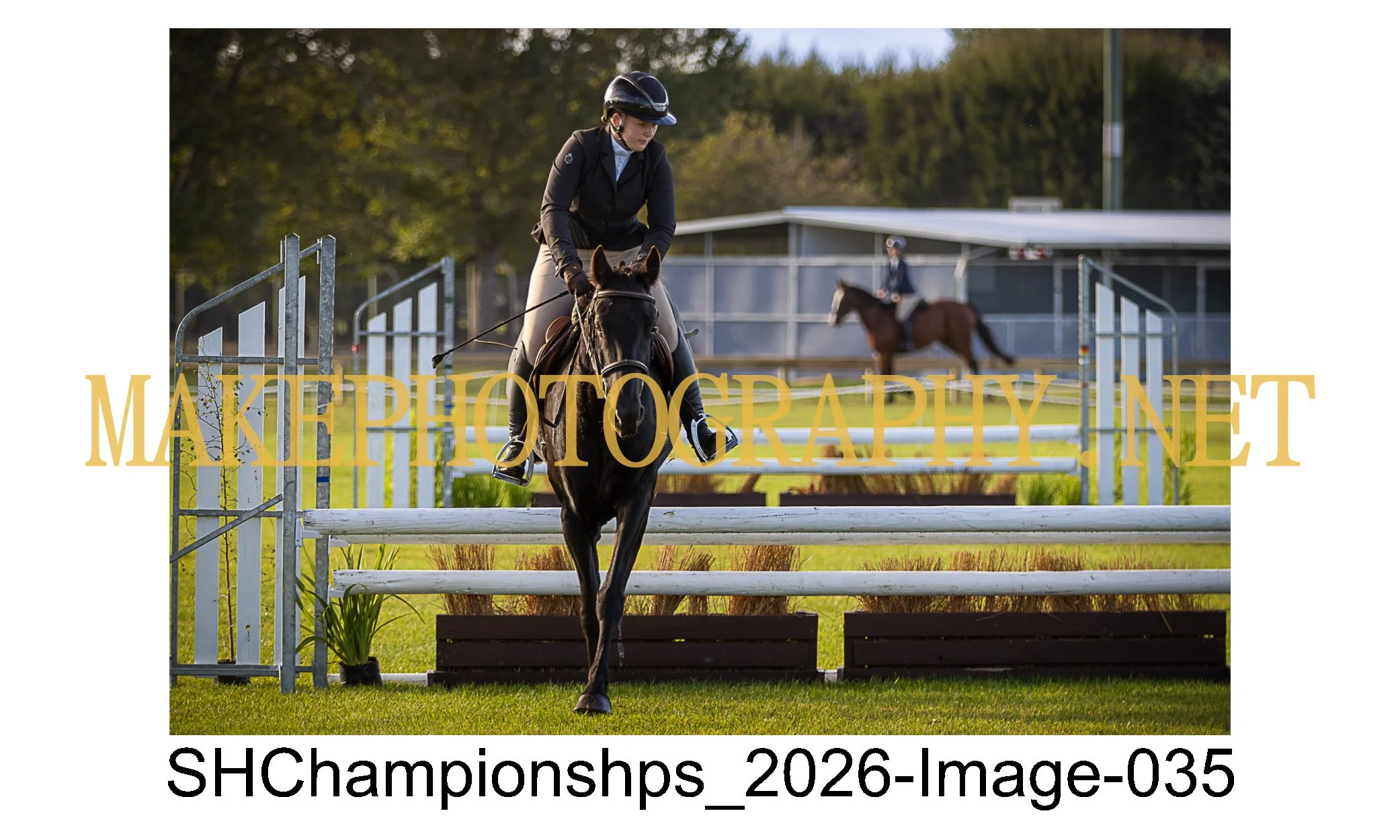 showhunter 2026-035.jpg