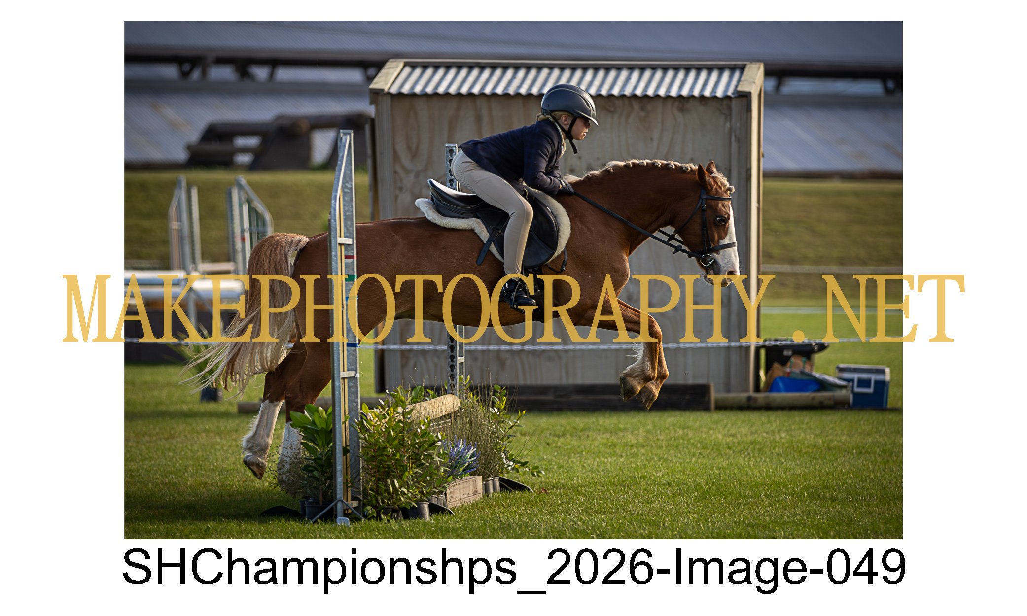 showhunter 2026-049.jpg