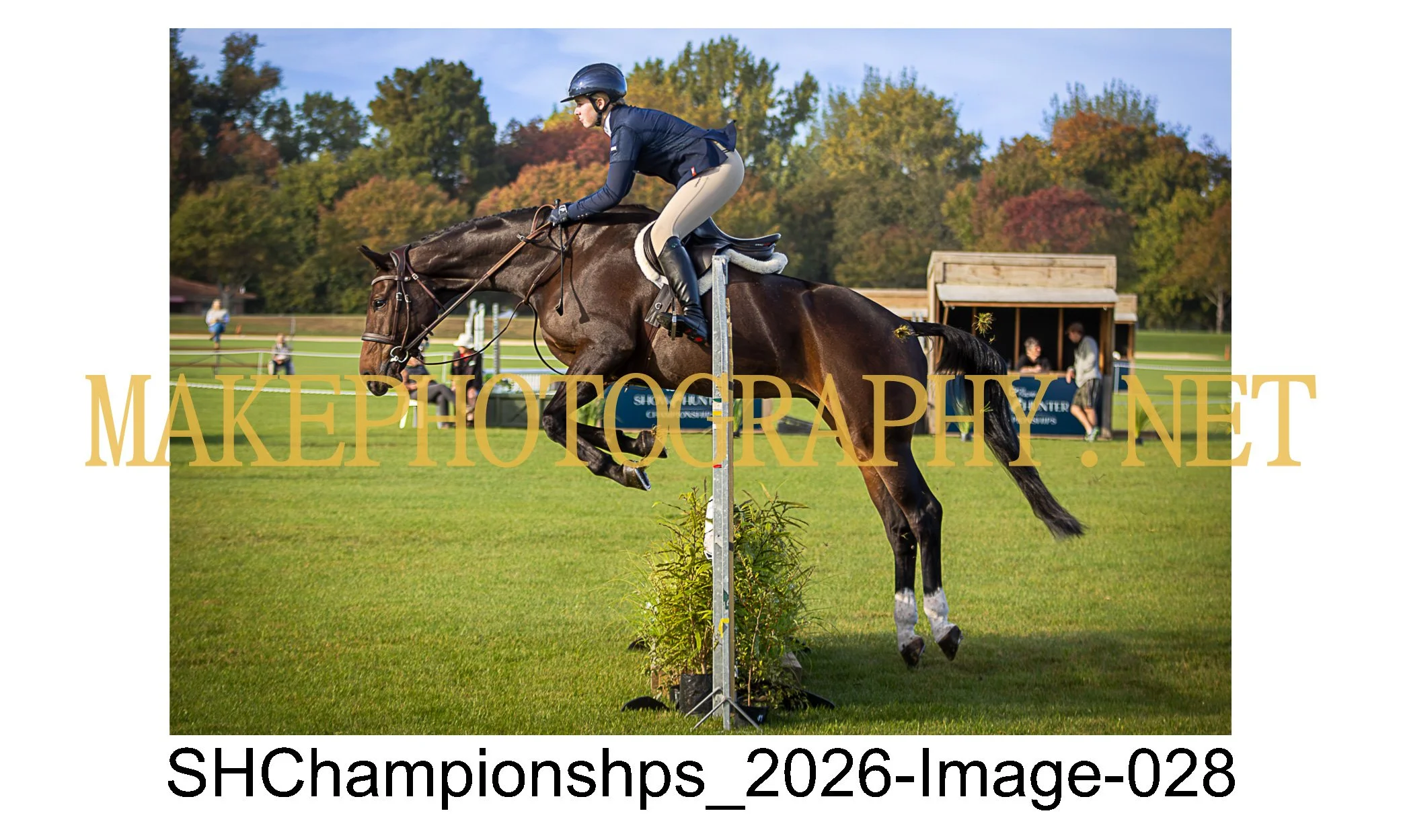 showhunter 2026-028.jpg