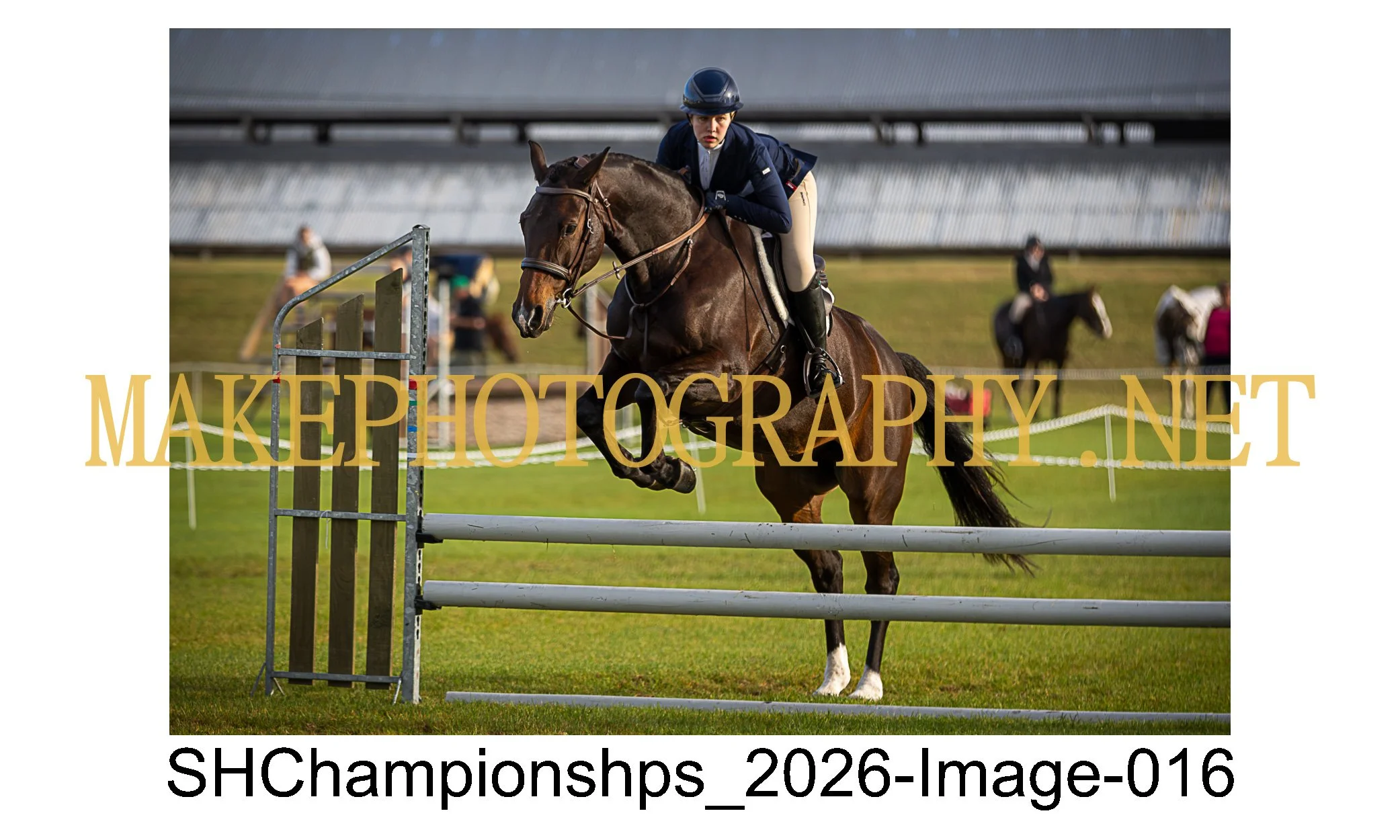 showhunter 2026-016.jpg