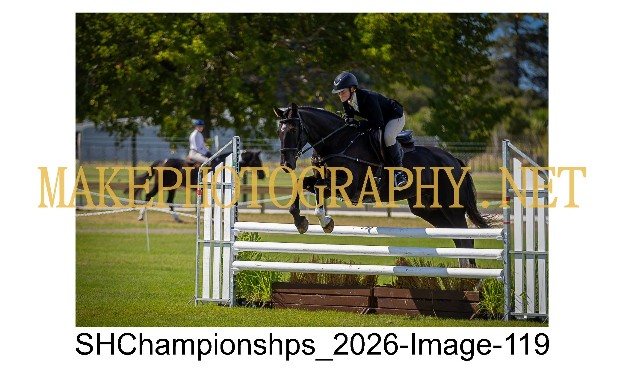 showhunter 2026-119.jpg