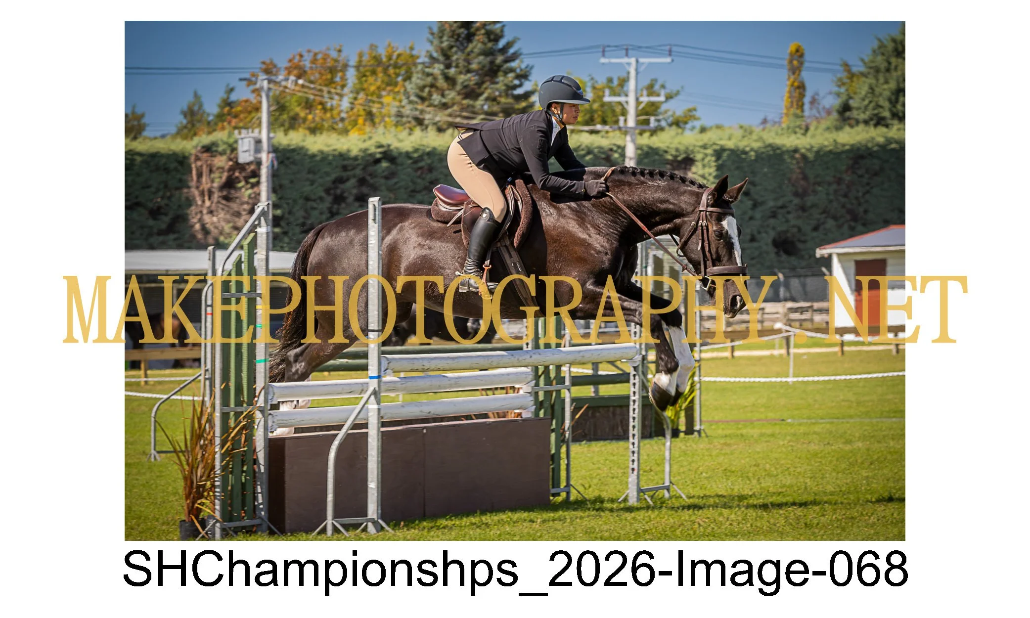 showhunter 2026-068.jpg