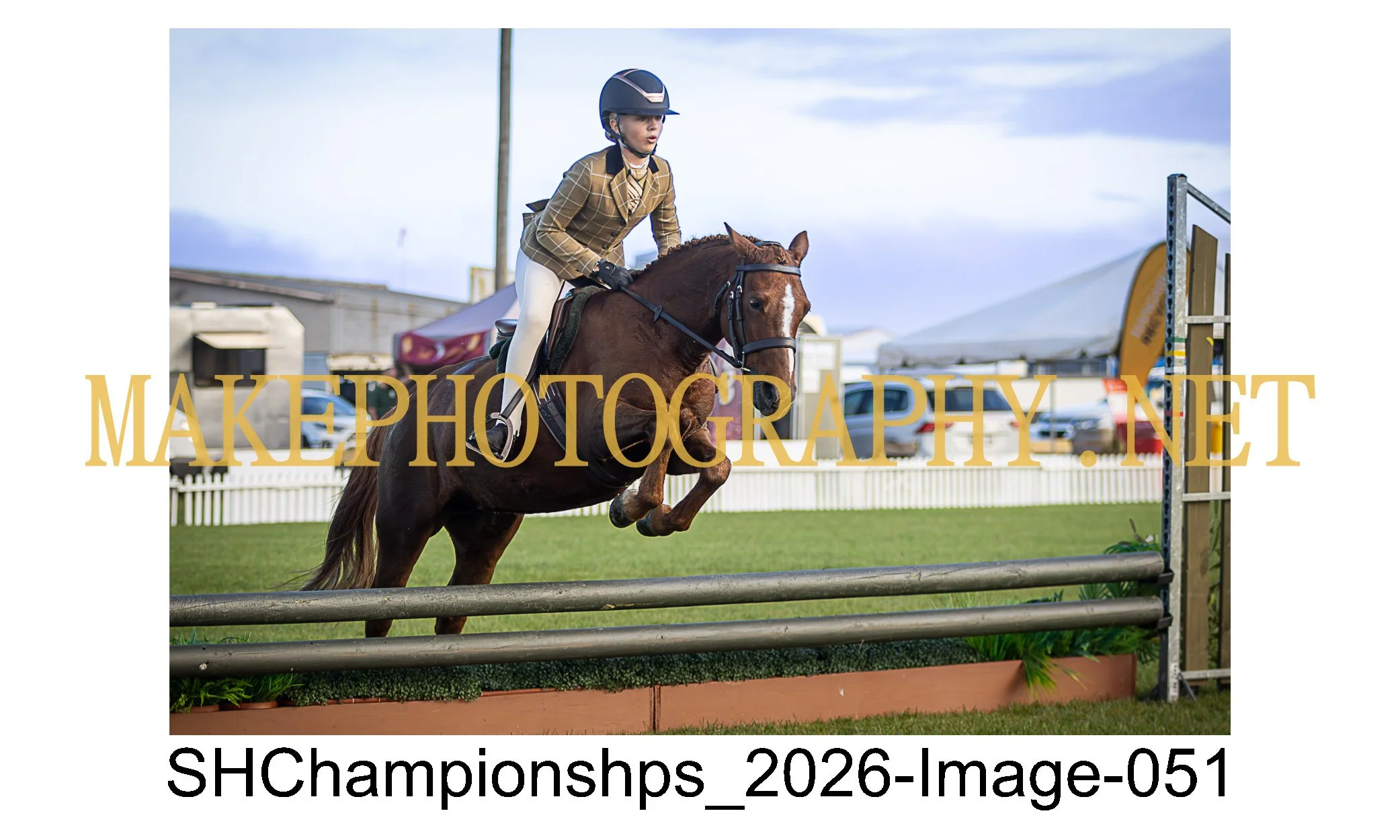 showhunter 2026-051.jpg