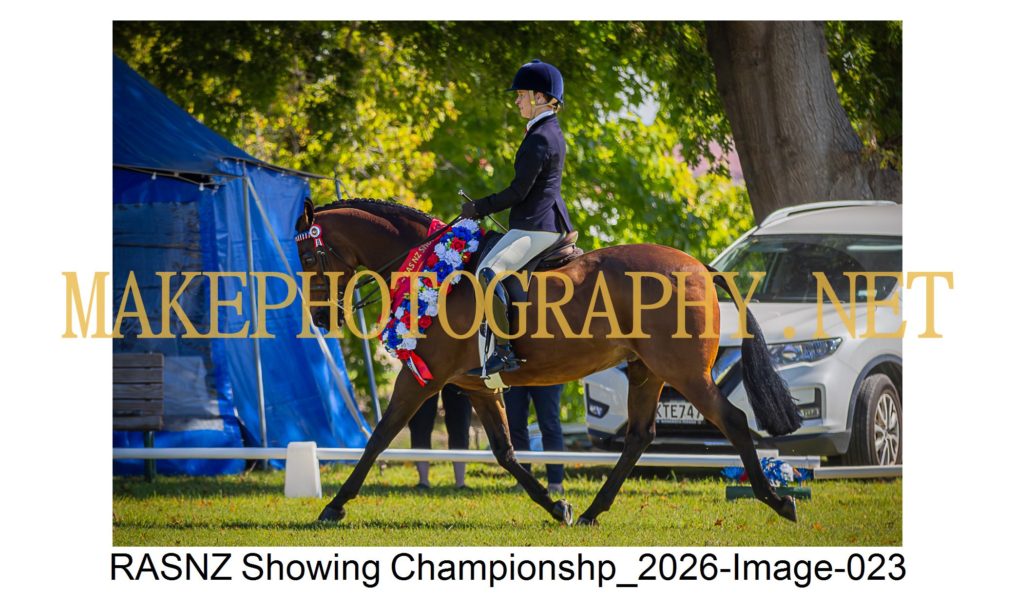 RASNZ Showing Championship 2026-23.jpg