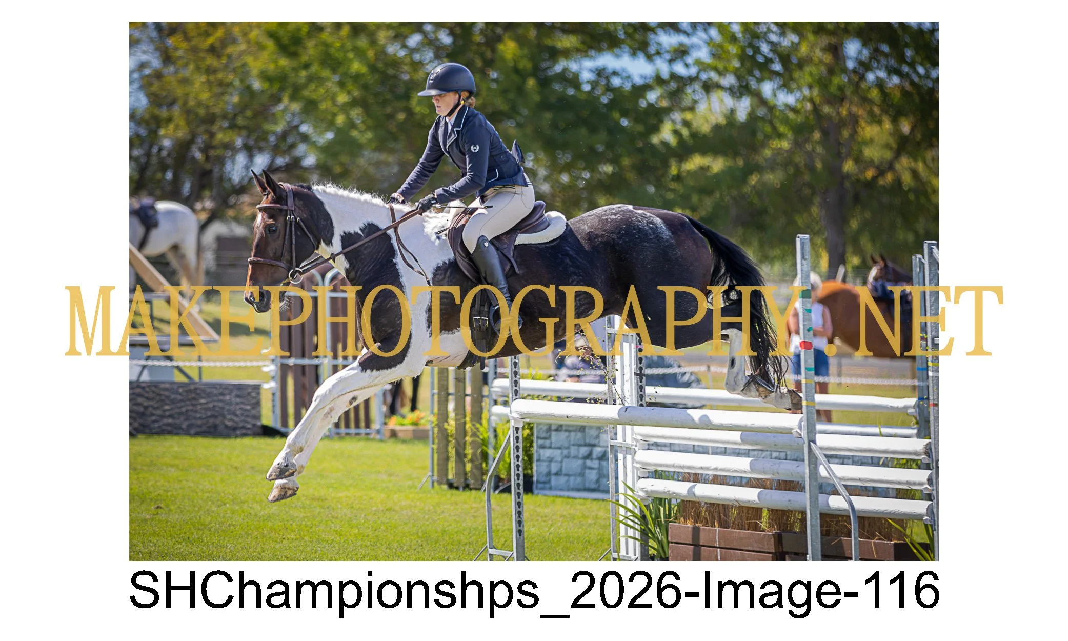 showhunter 2026-116.jpg