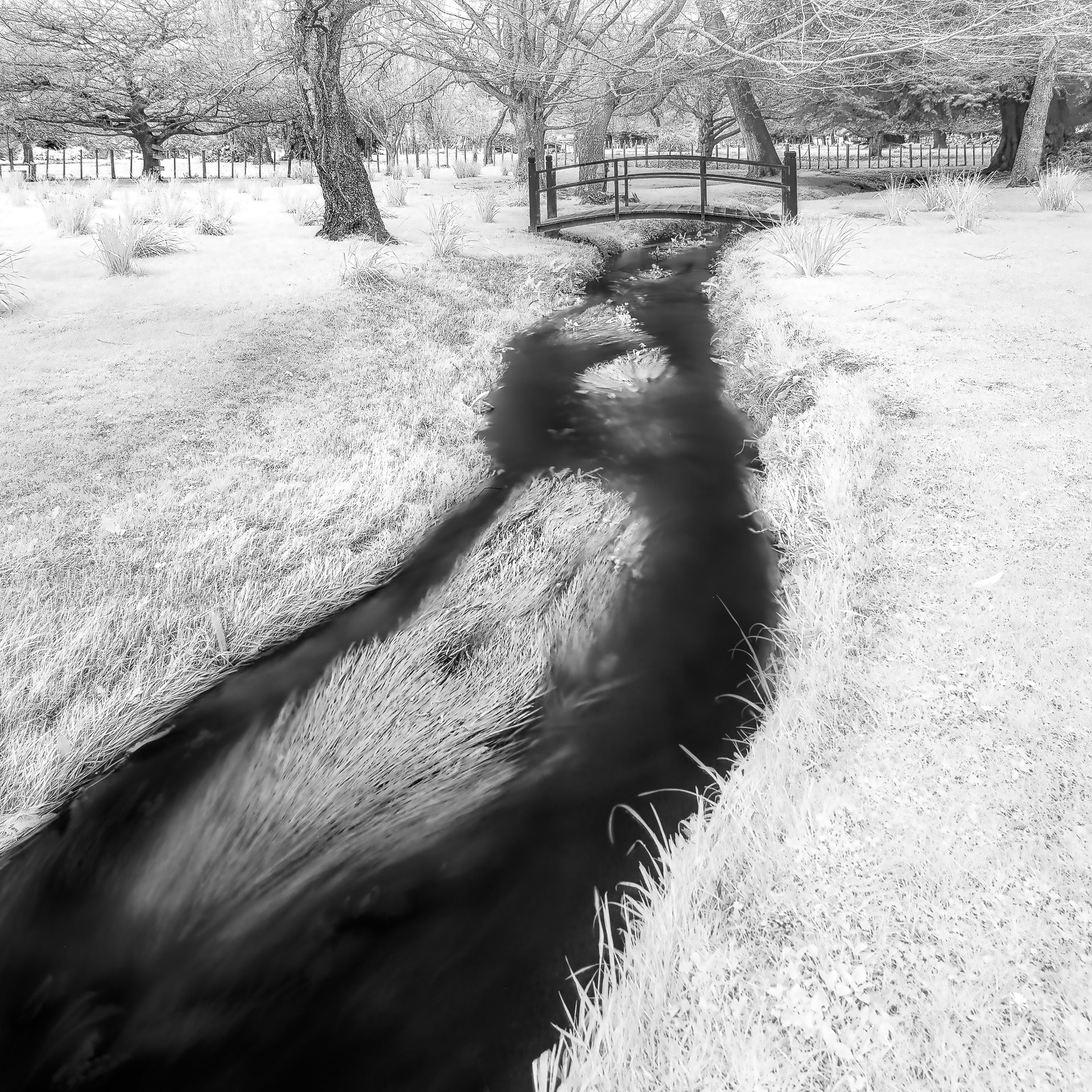 Summer Stream