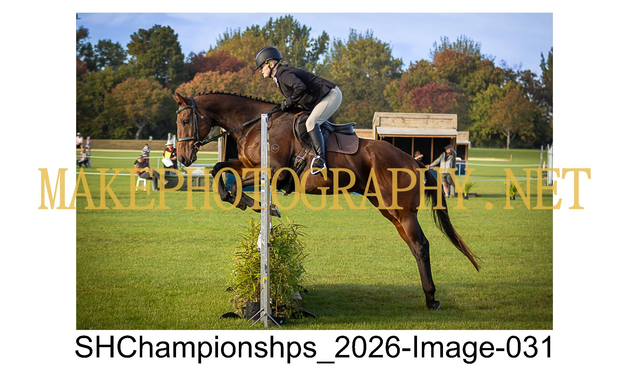 showhunter 2026-031.jpg