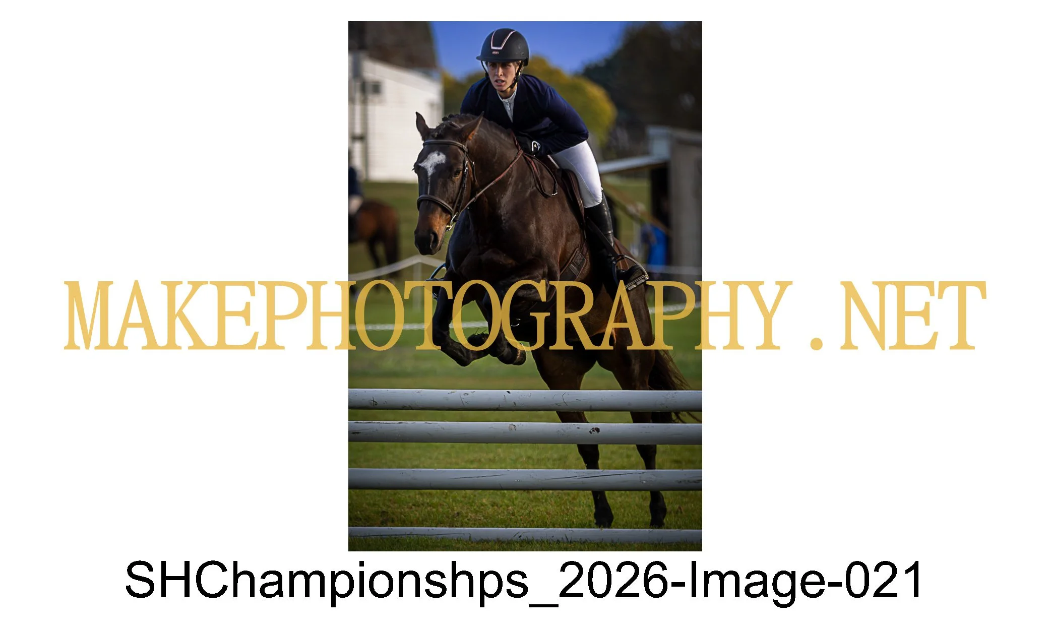 showhunter 2026-021.jpg