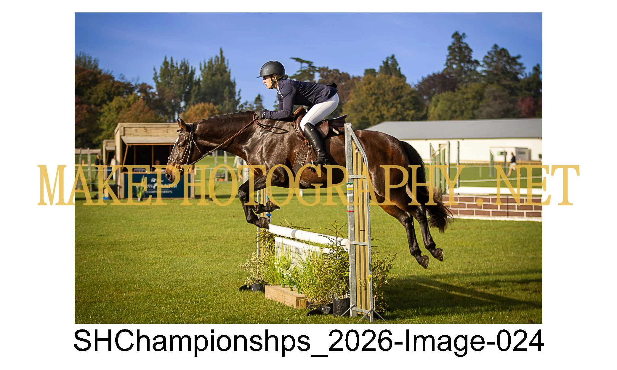 showhunter 2026-024.jpg