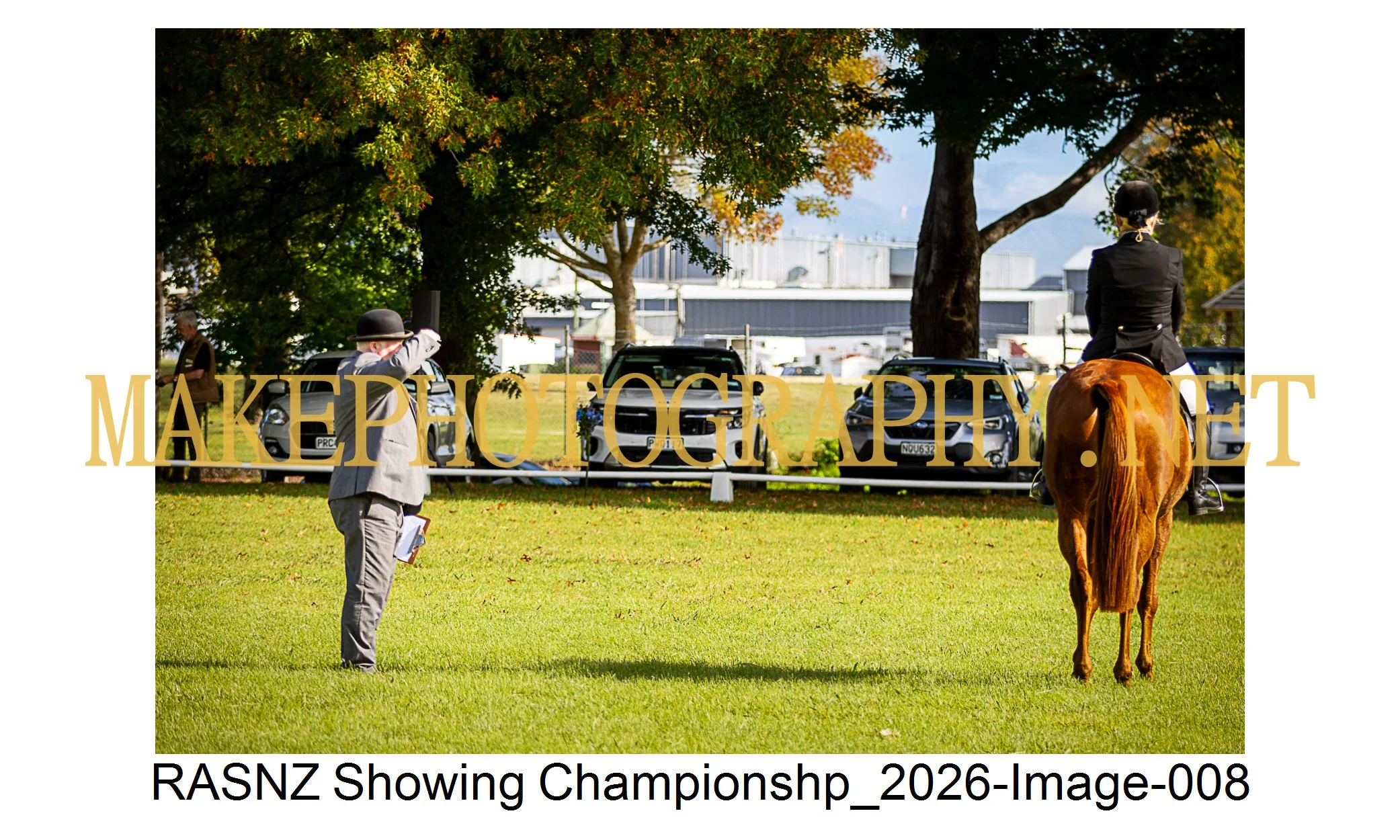 RASNZ Showing Championship 2026-08.jpg