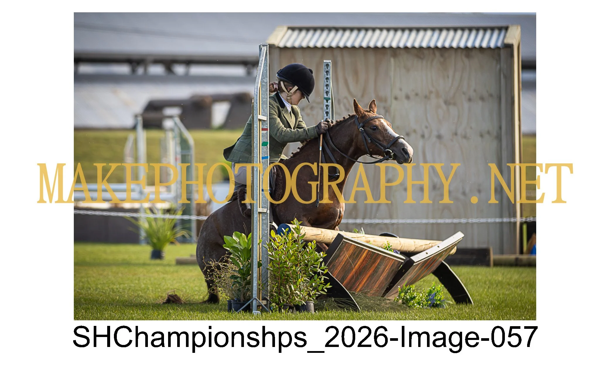 showhunter 2026-057.jpg