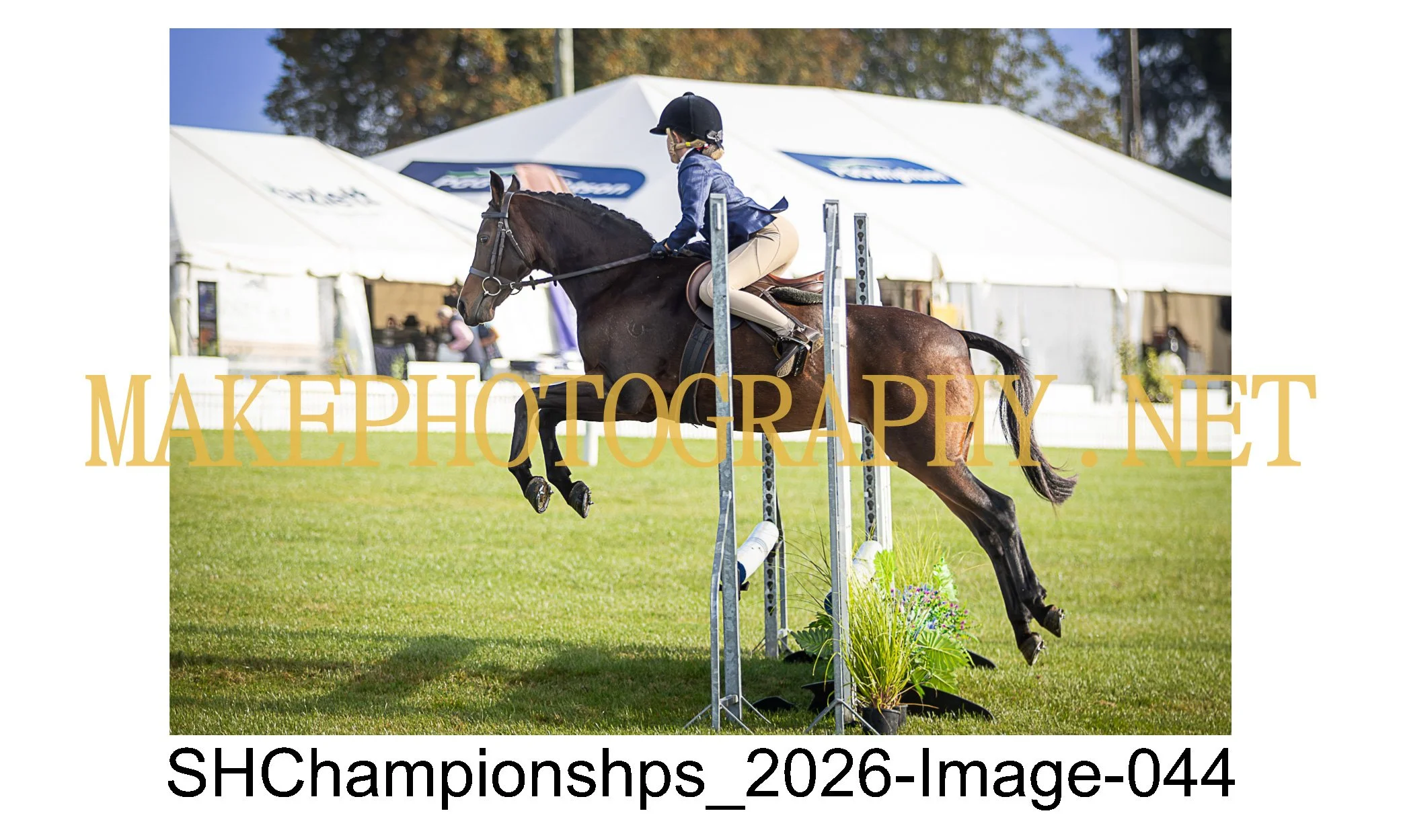 showhunter 2026-044.jpg