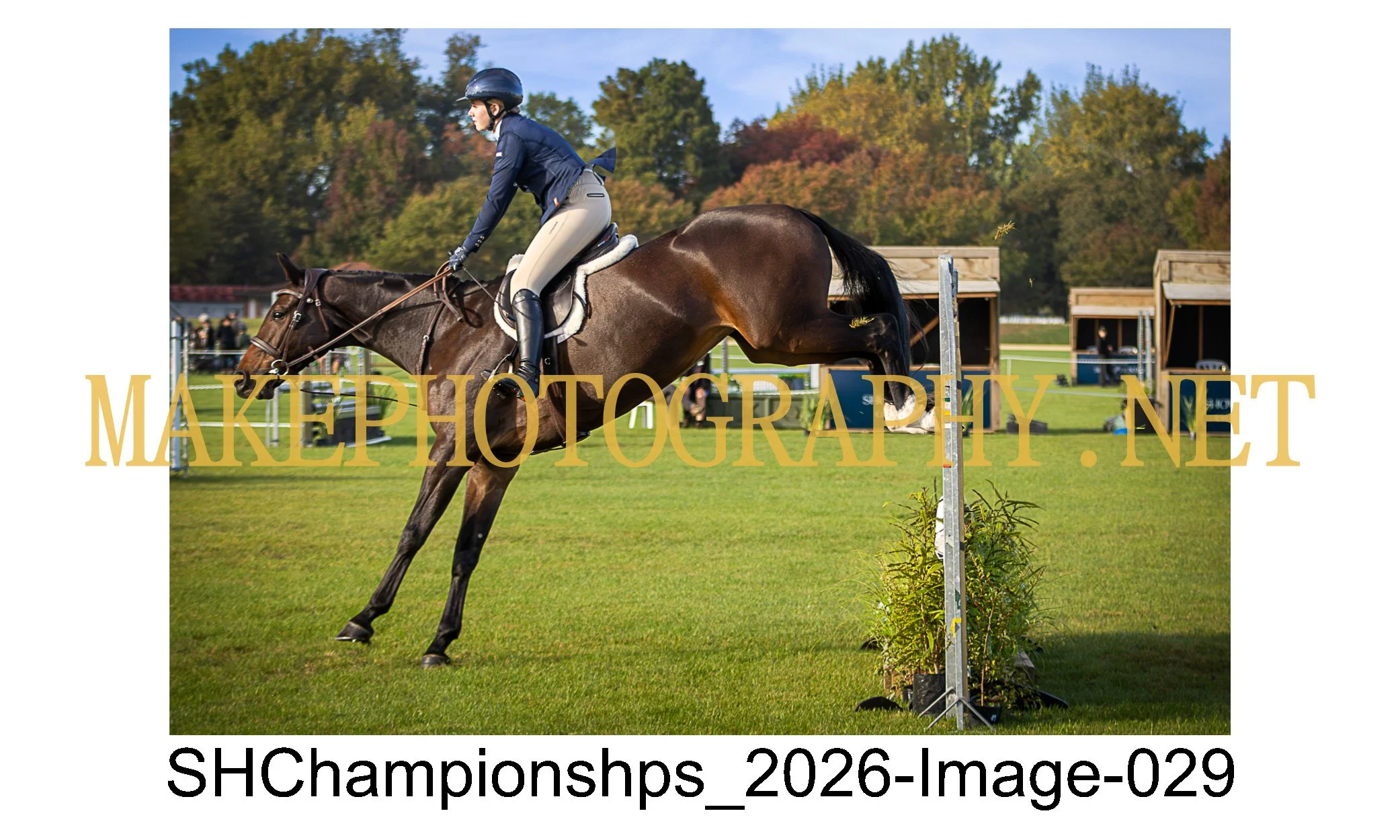 showhunter 2026-029.jpg