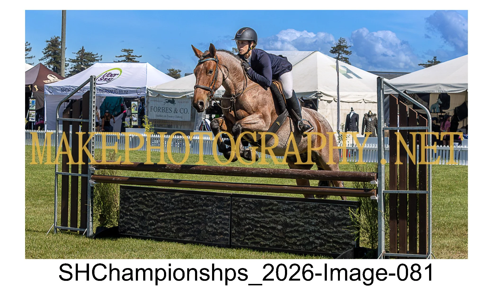 showhunter 2026-081.jpg