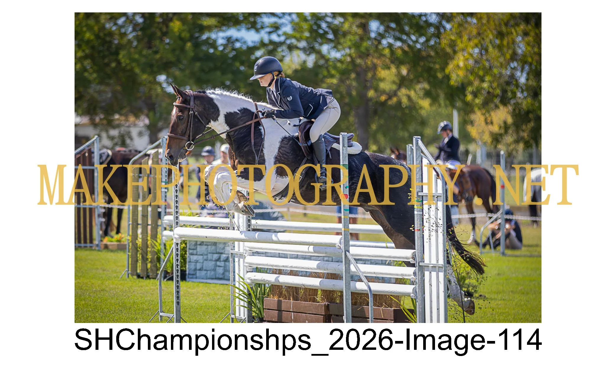 showhunter 2026-114.jpg