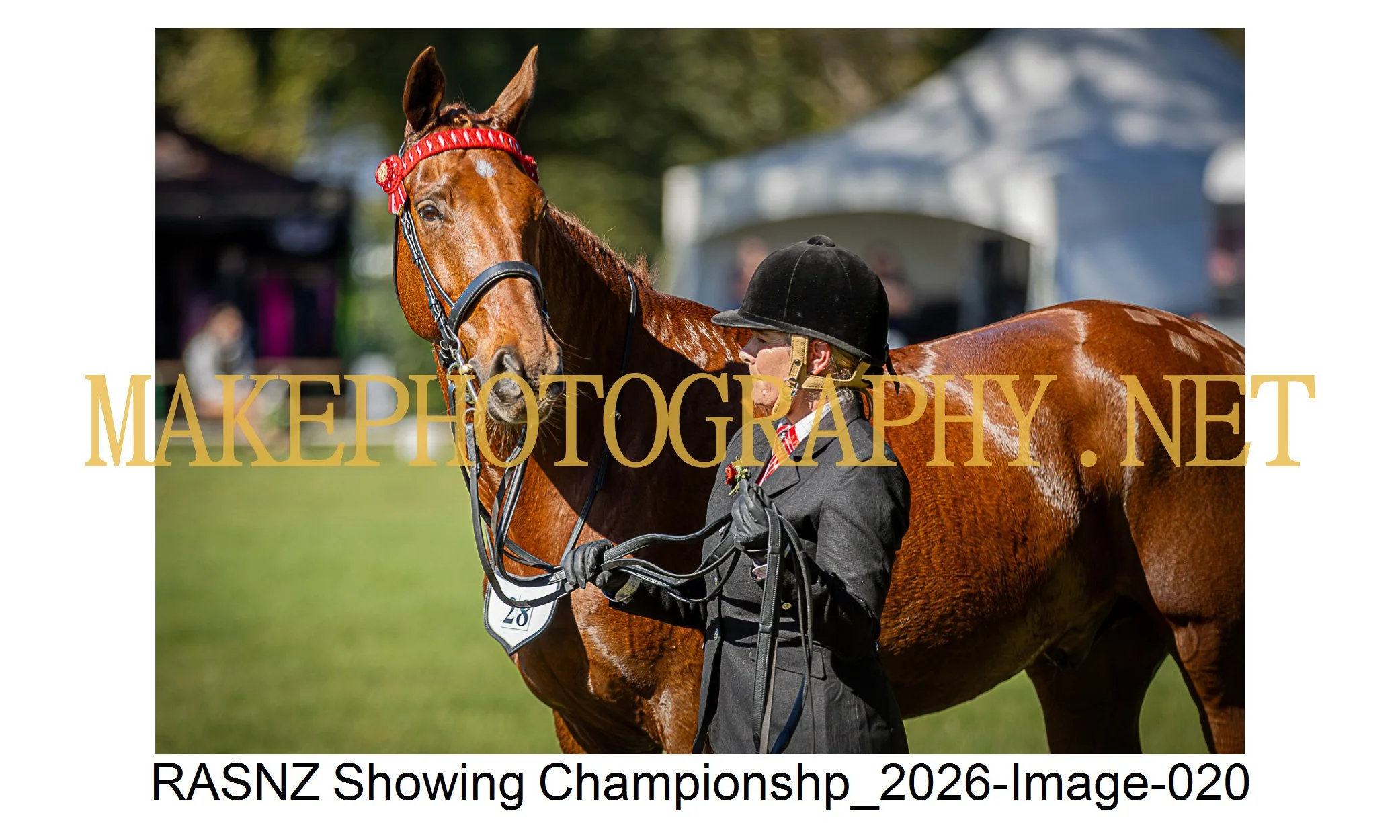 RASNZ Showing Championship 2026-20.jpg