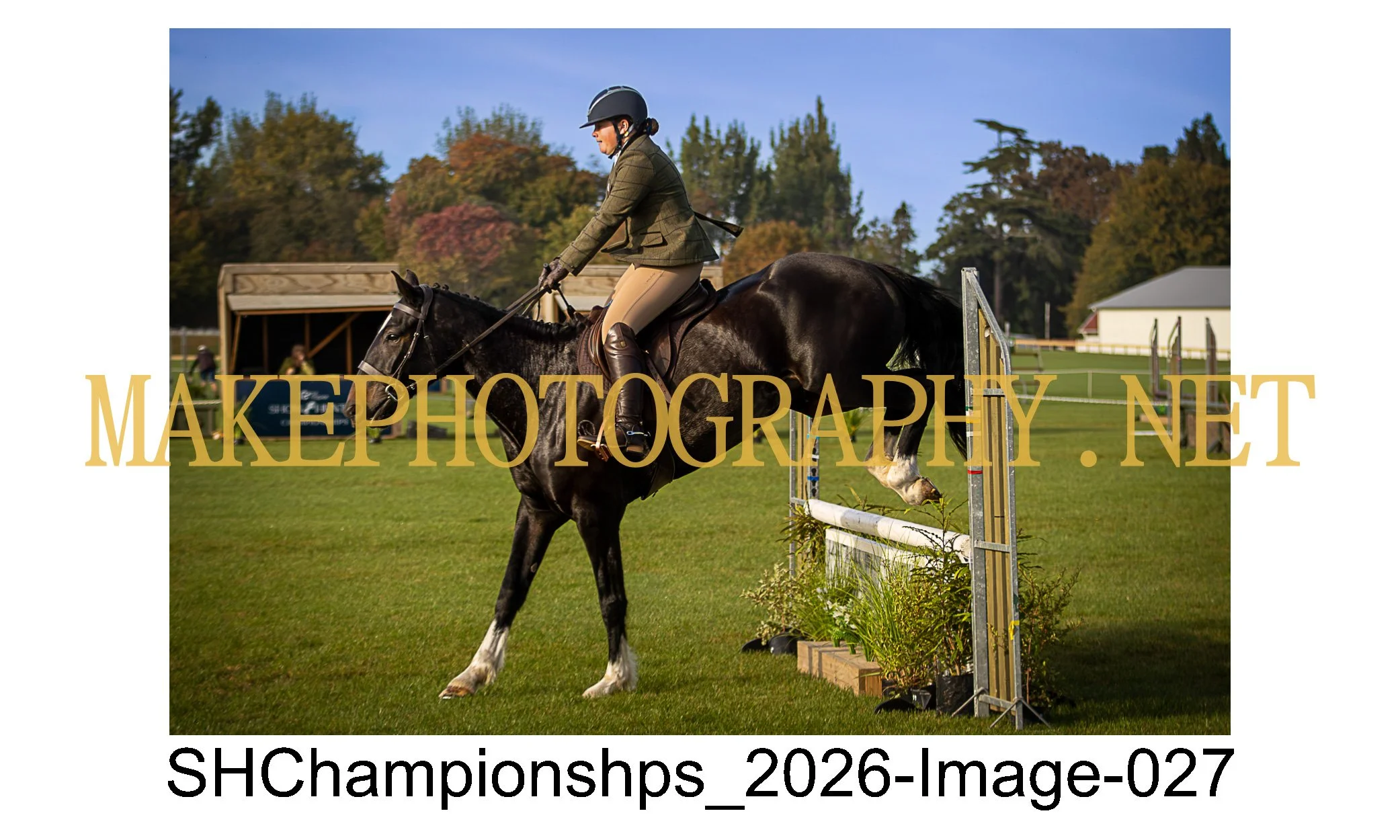 showhunter 2026-027.jpg