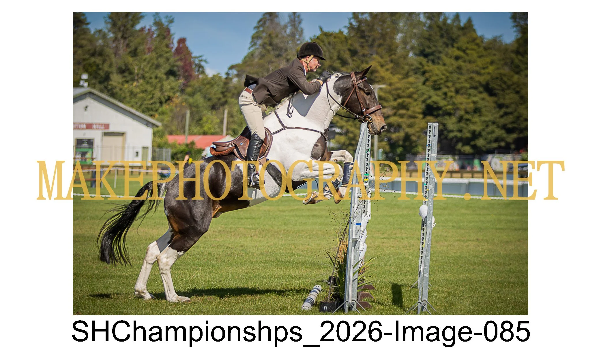 showhunter 2026-085.jpg