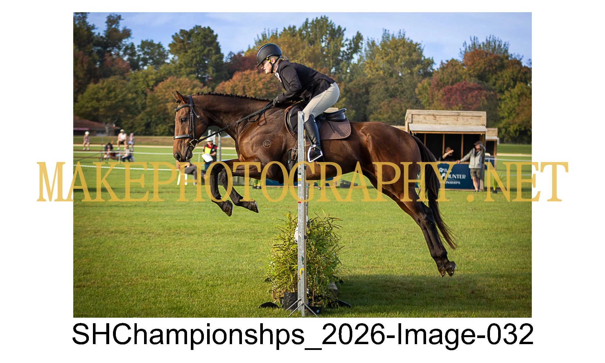 showhunter 2026-032.jpg