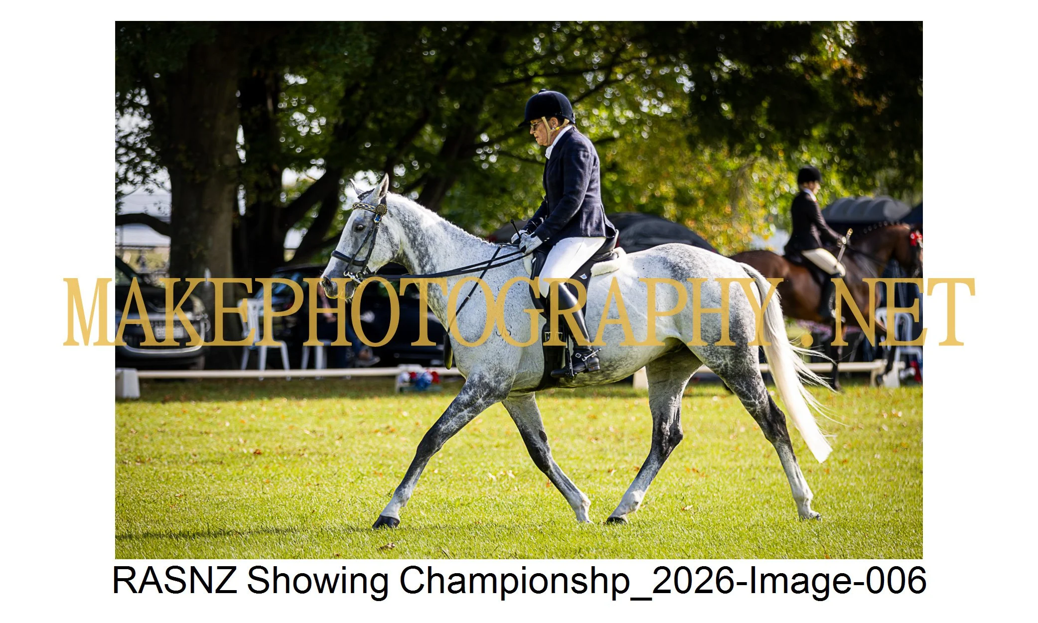 RASNZ Showing Championship 2026-06.jpg