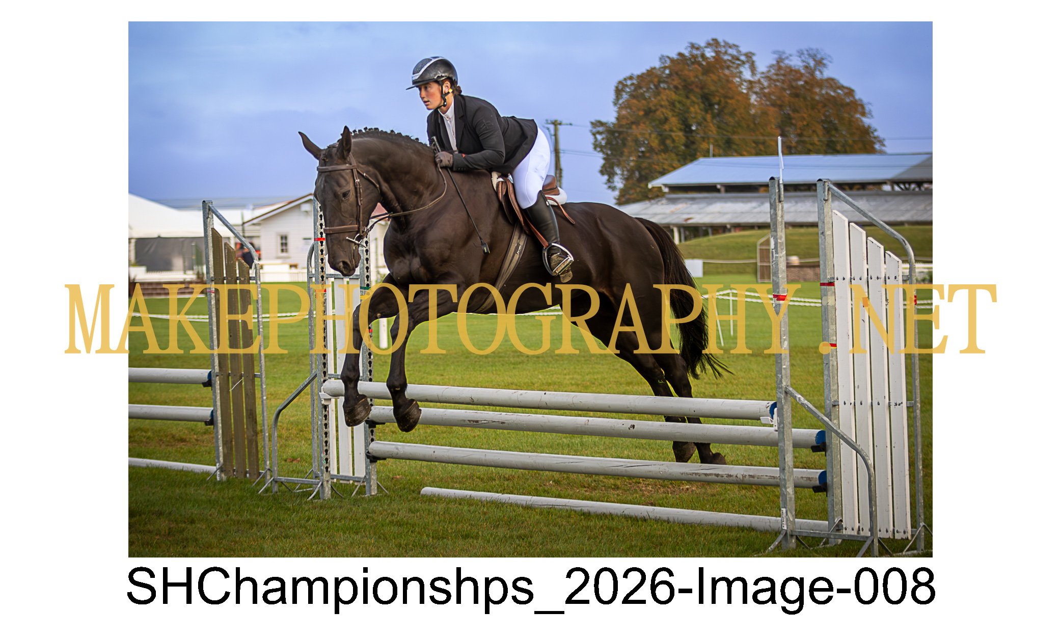 showhunter 2026-008.jpg