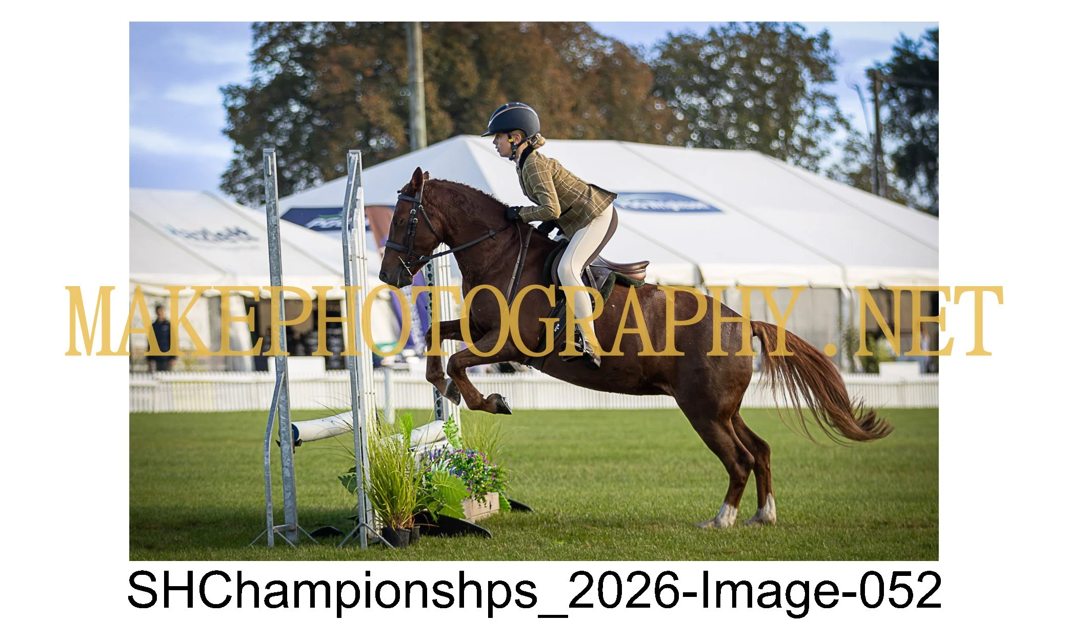 showhunter 2026-052.jpg