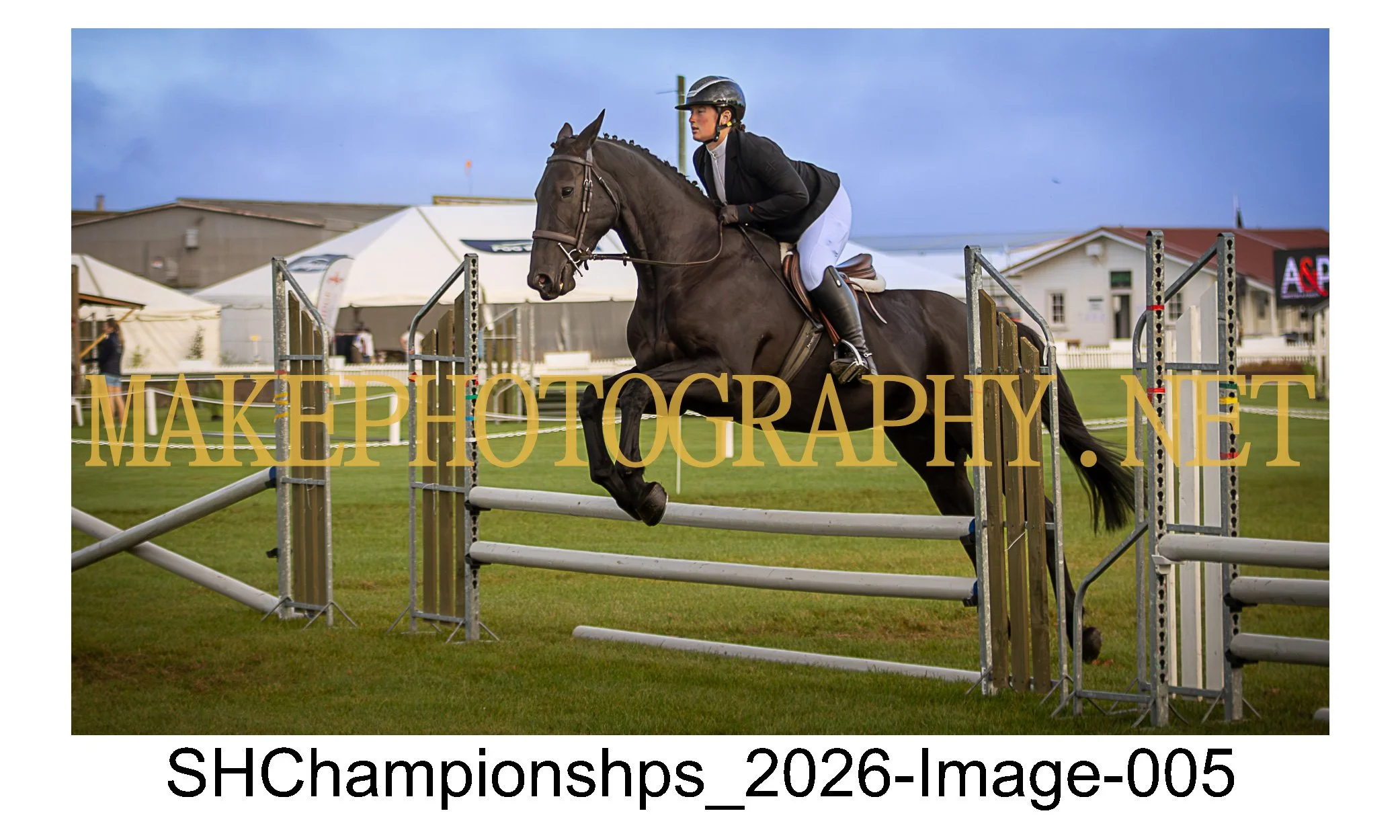 showhunter 2026-005.jpg