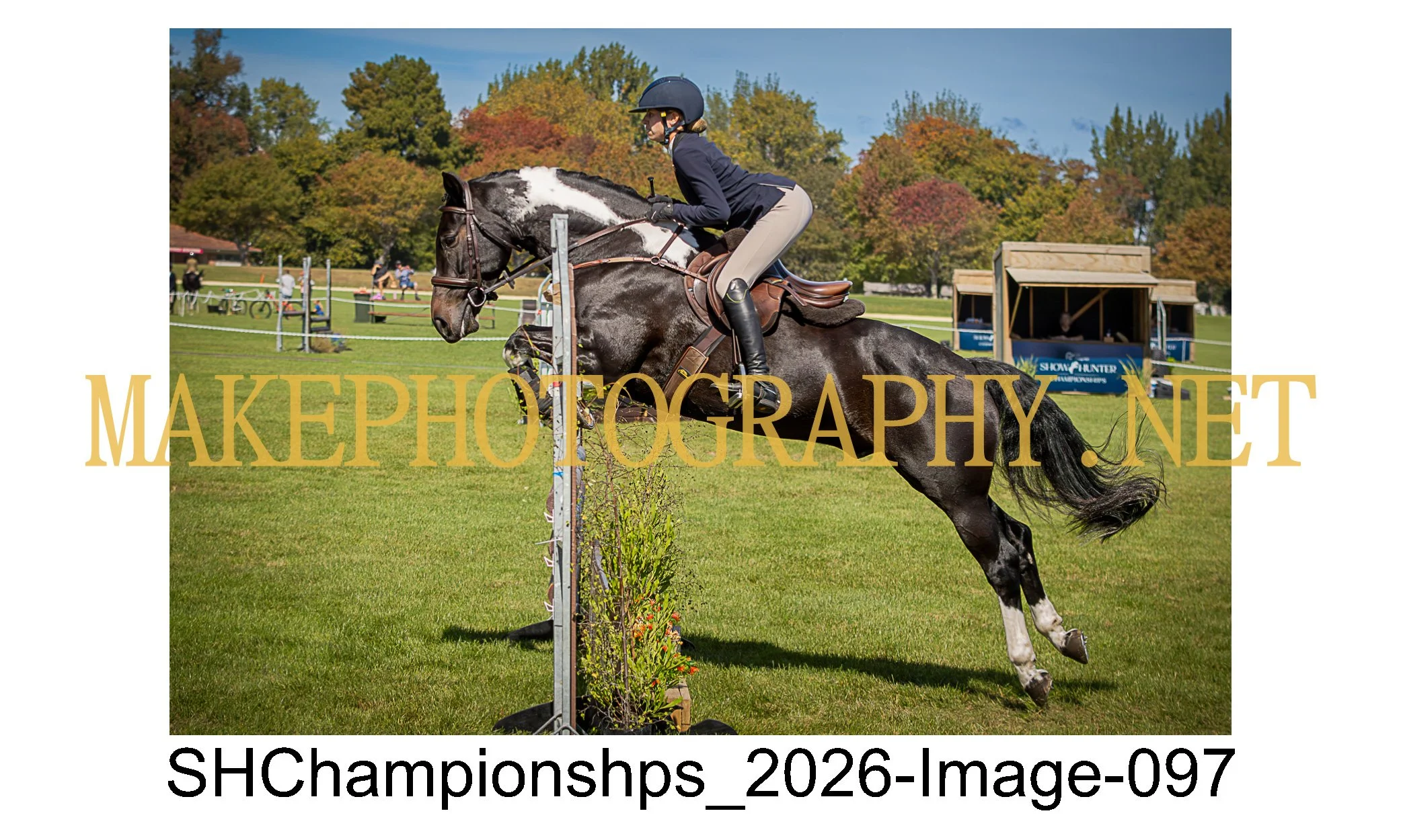 showhunter 2026-097.jpg