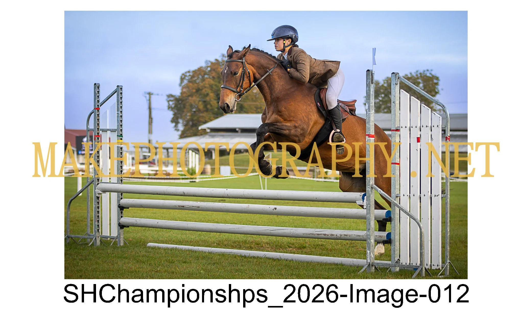 showhunter 2026-012.jpg