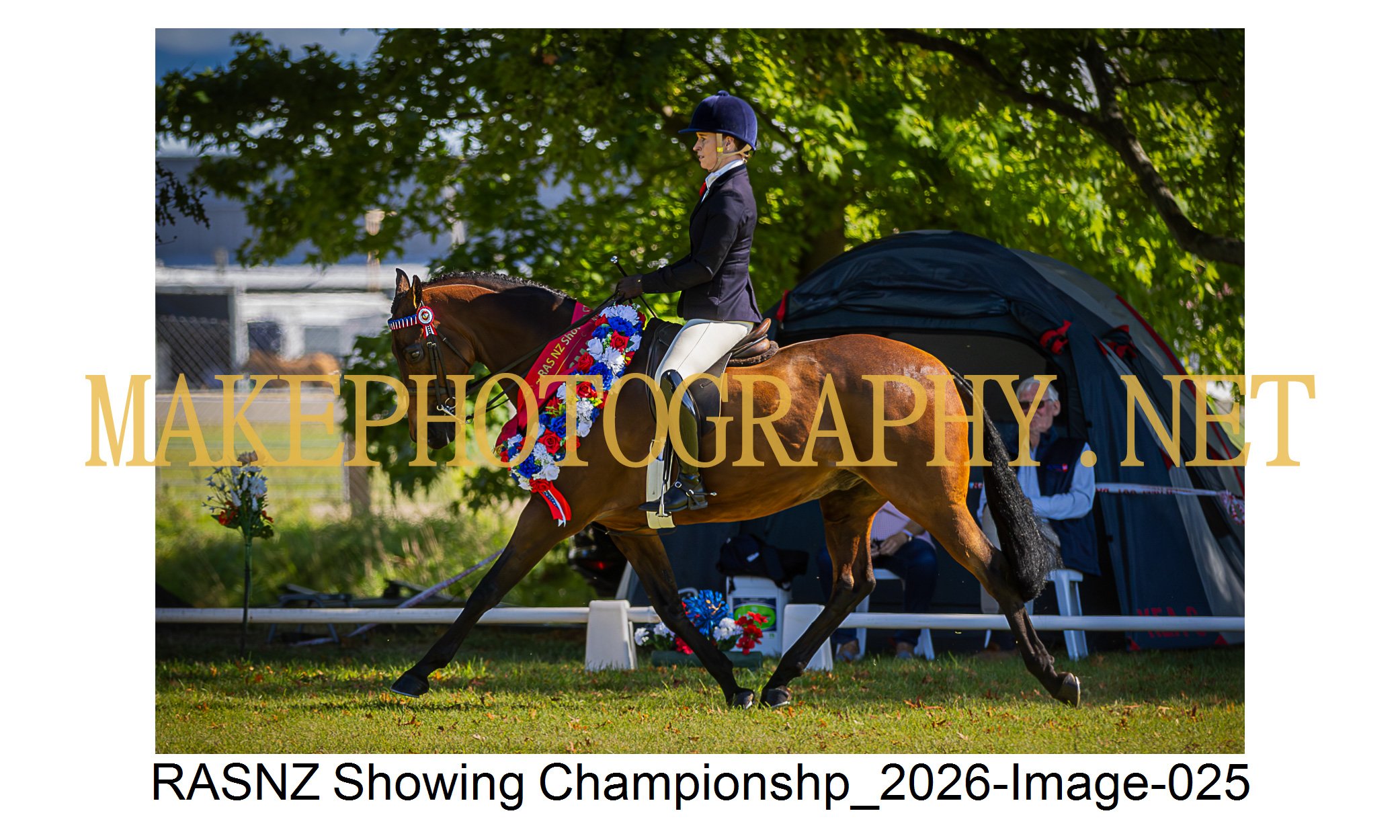 RASNZ Showing Championship 2026-25.jpg