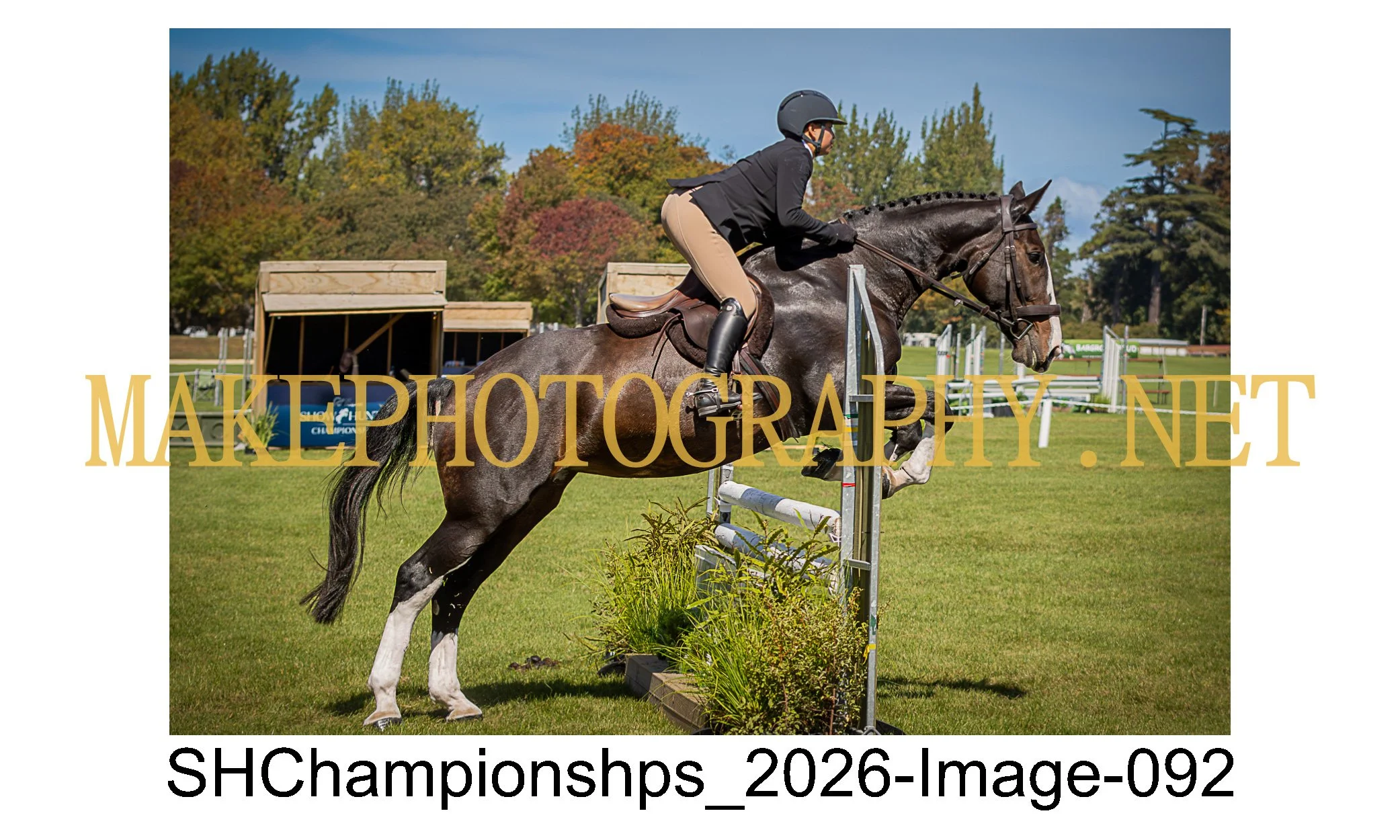 showhunter 2026-092.jpg