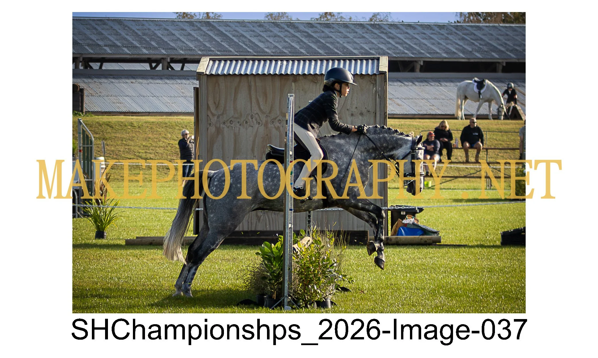 showhunter 2026-037.jpg