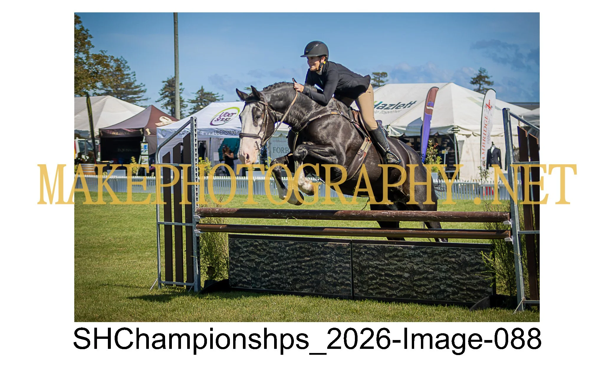 showhunter 2026-088.jpg