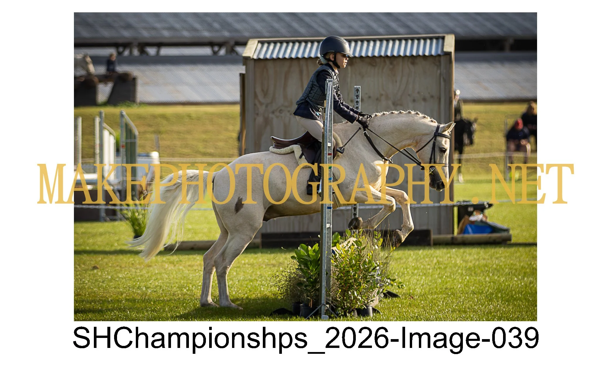 showhunter 2026-039.jpg