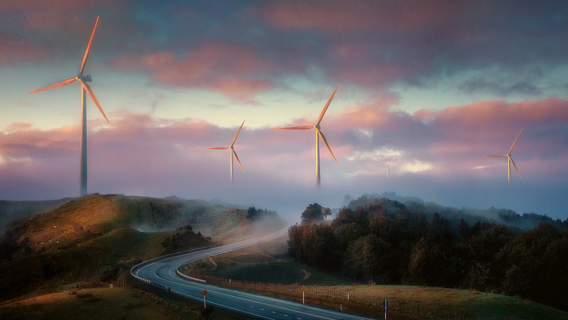 Winter Fog - Manawatu