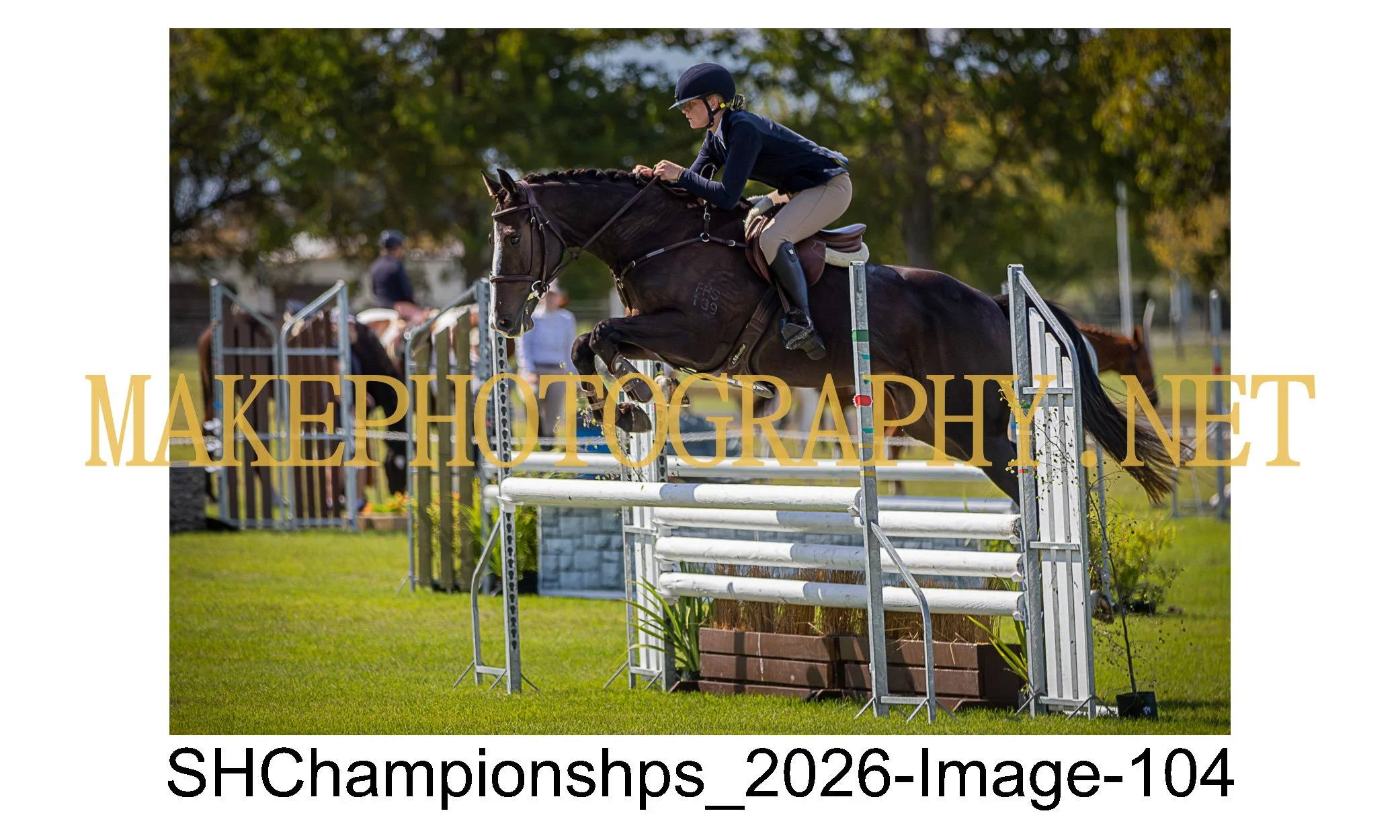 showhunter 2026-104.jpg