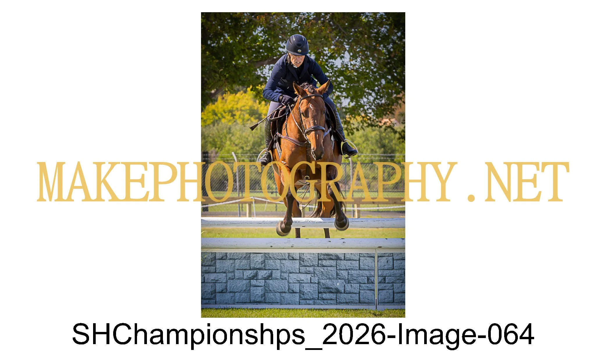 showhunter 2026-064.jpg