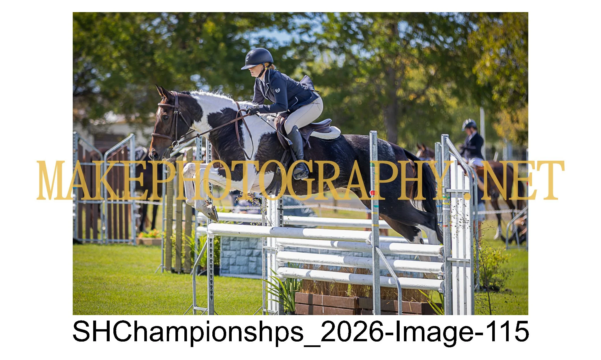 showhunter 2026-115.jpg