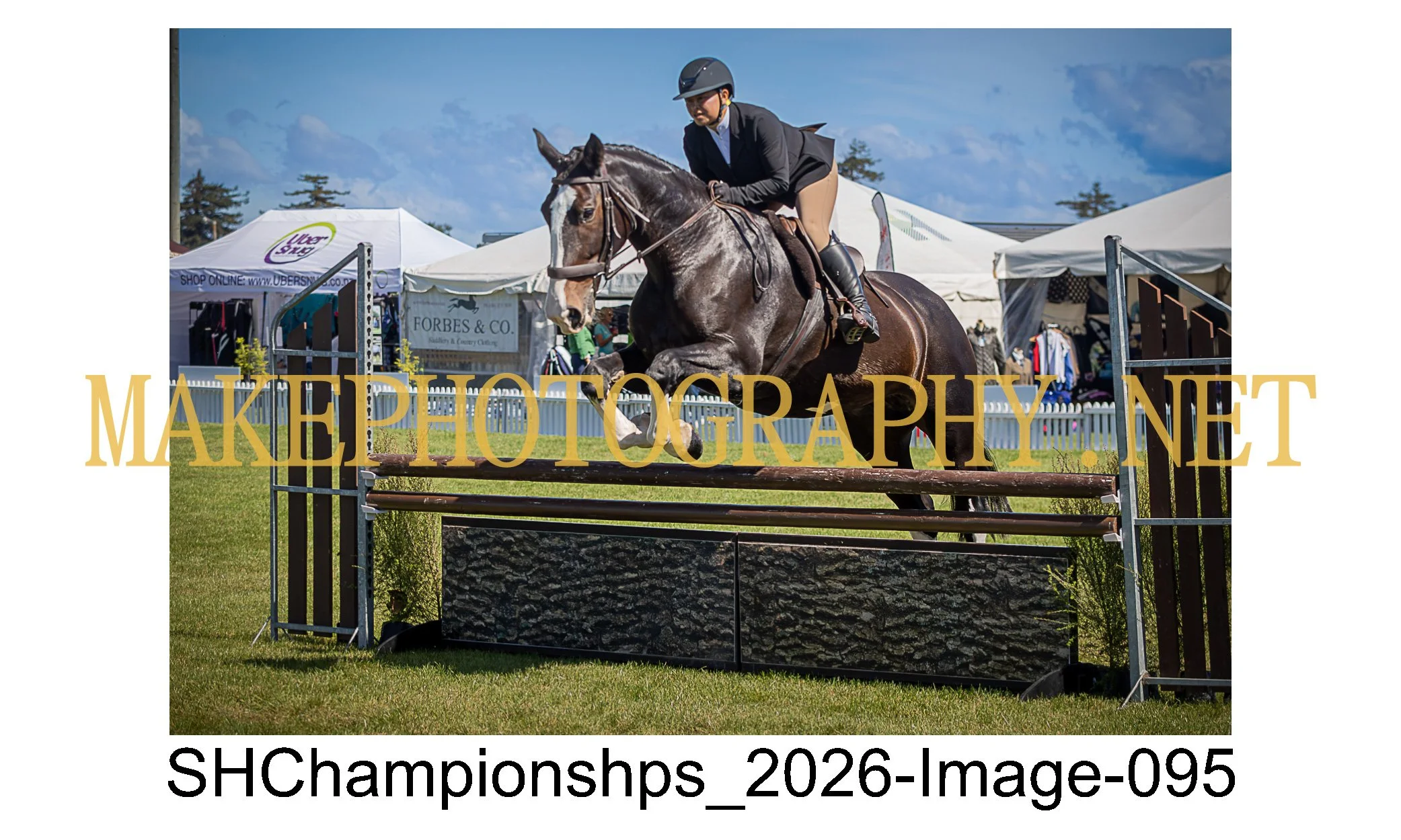 showhunter 2026-095.jpg