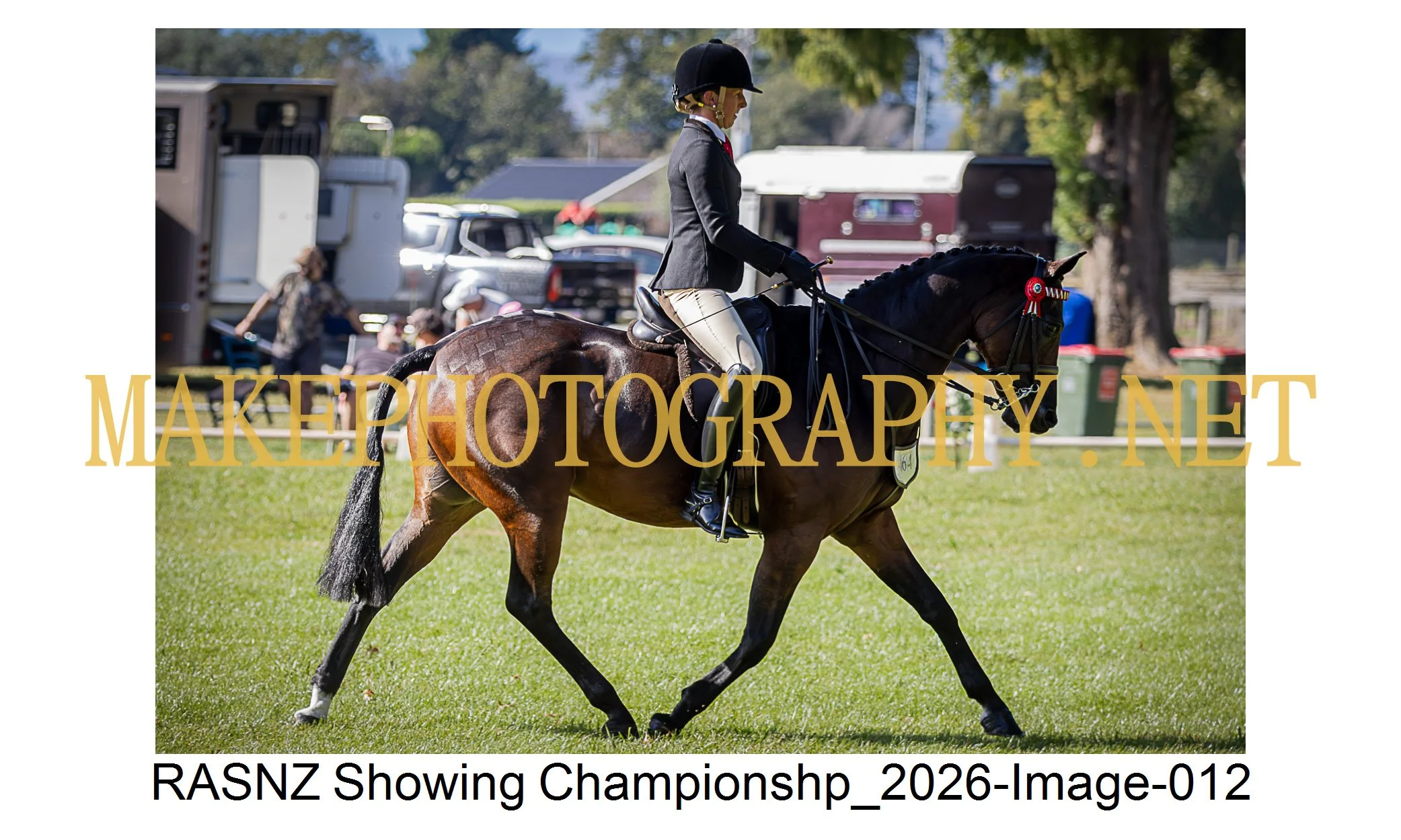 RASNZ Showing Championship 2026-12.jpg