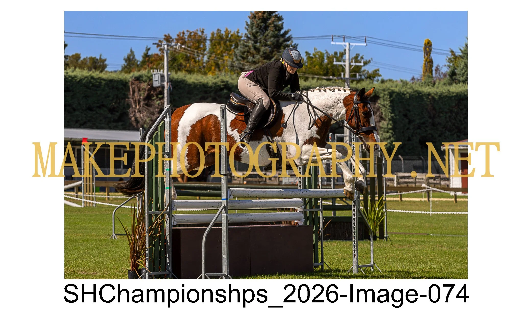 showhunter 2026-074.jpg