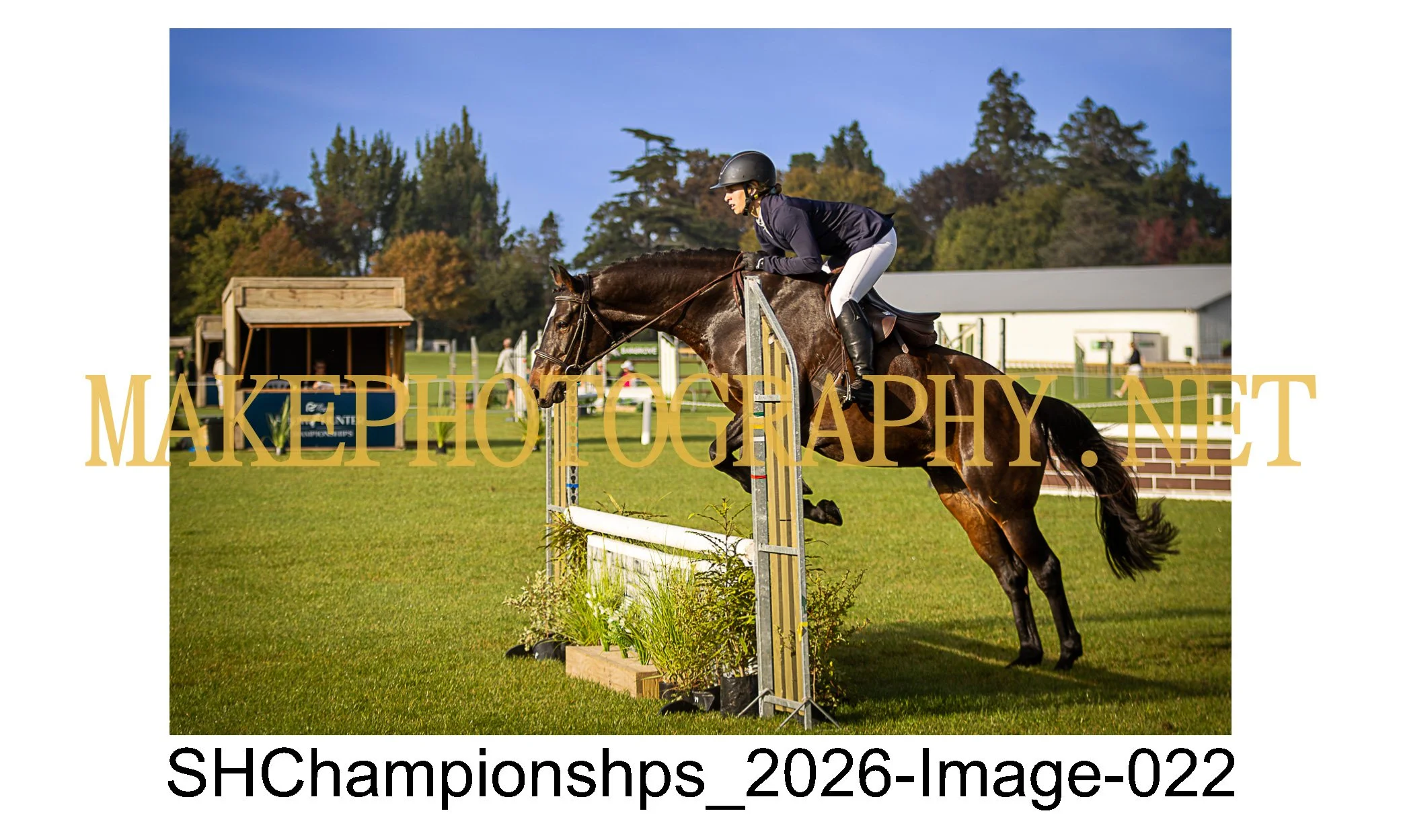 showhunter 2026-022.jpg