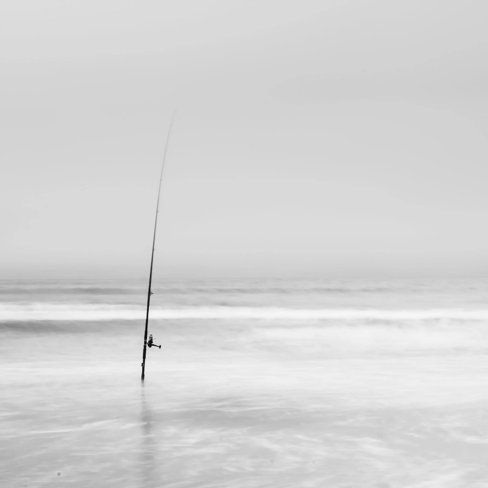 Fishing