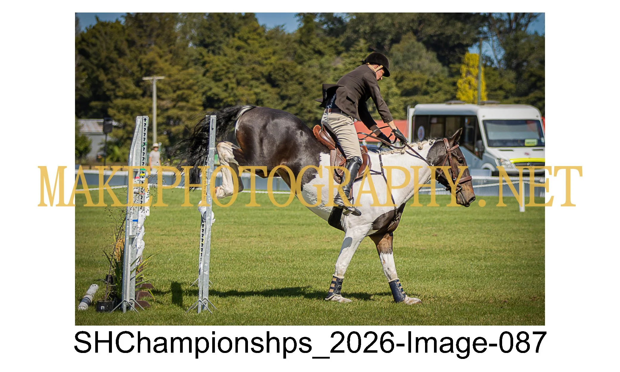 showhunter 2026-087.jpg