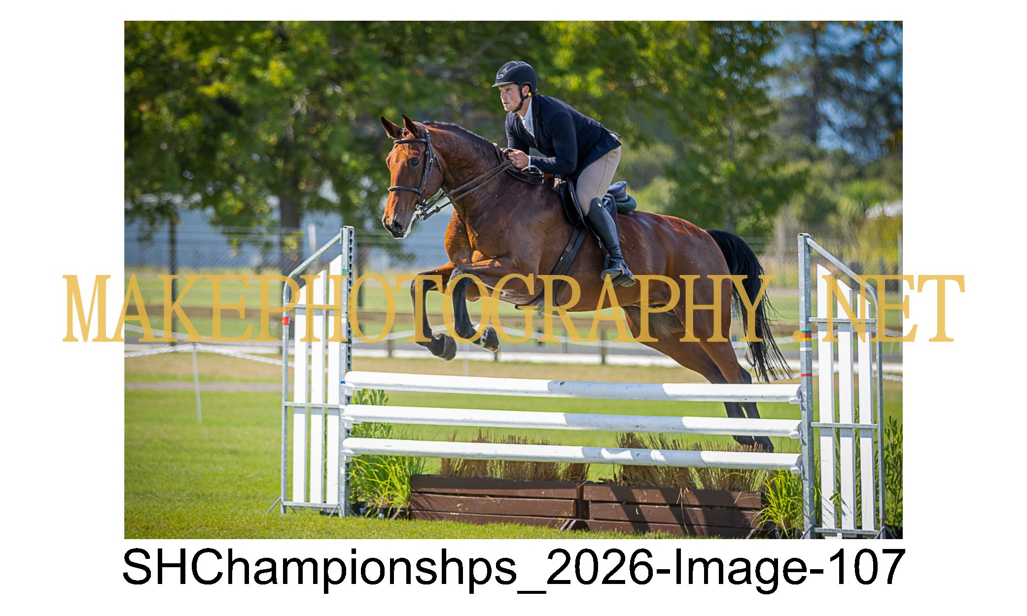 showhunter 2026-107.jpg