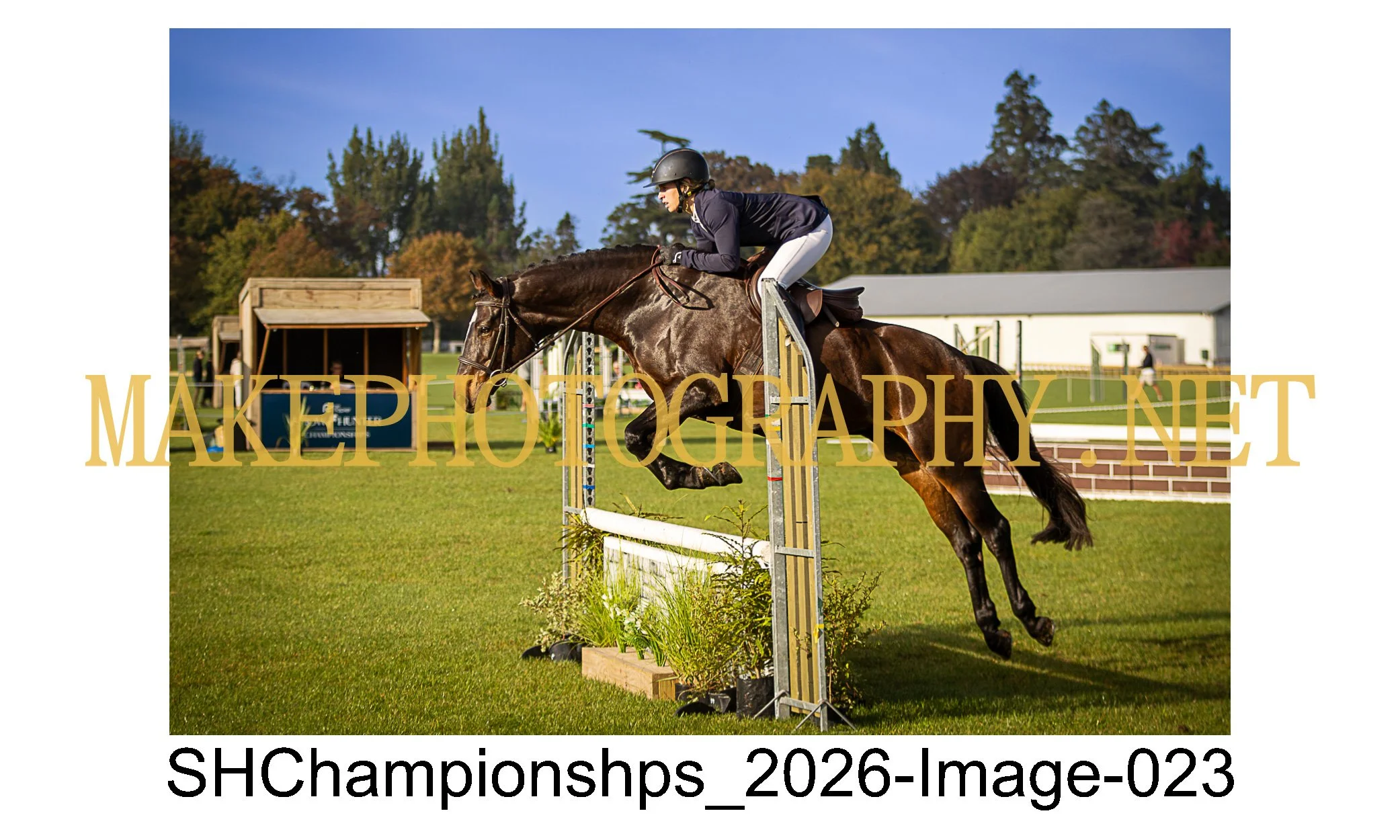 showhunter 2026-023.jpg